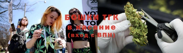 spice Аркадак