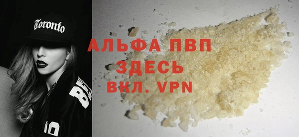 spice Аркадак