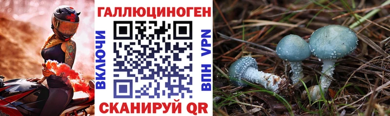 Псилоцибиновые грибы Psilocybine cubensis  Купить закладки  Теберда 